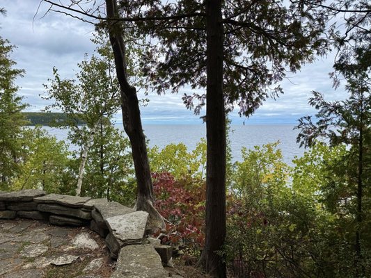 The Clearing by null