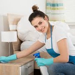 Perfect Maid Carolinas
