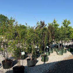 John Lasley Outdoor Solutions