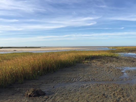 Cape Cod Museum Of Natural History by null