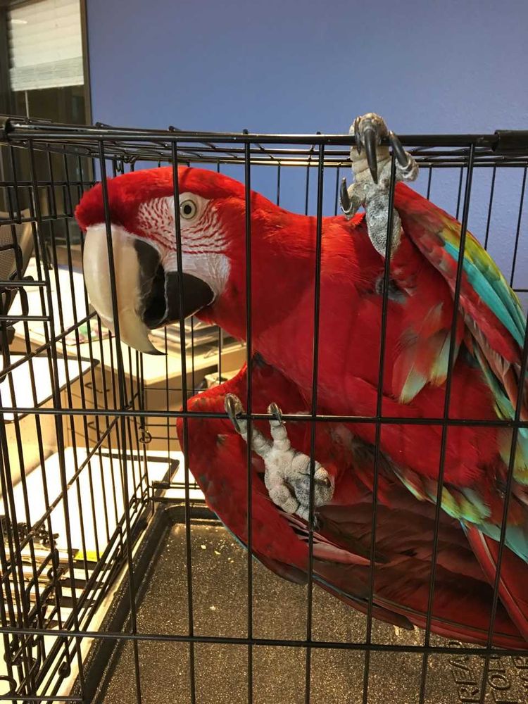 LITTLE LEAF ANIMAL HOSPITAL Updated June 2024 41 Photos 10024