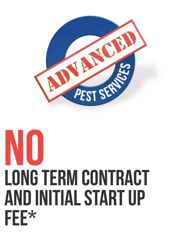 ADVANCED PEST SERVICES Updated March 2024 19 Photos & 45 Reviews