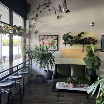 Session - I mean.... Can I get the name of their decorator?! So lovely. - Bars Near Me - Virginia Beach, Virginia Session - I mean.... Can I get the name of their decorator?! So lovely. - Bars Near Me - Virginia Beach, Virginia