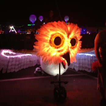 Electric Daisy Carnival - owl bicycle, I think it was part of an art exhibit - Festivals Near Me - Clark, Nevada Electric Daisy Carnival - owl bicycle, I think it was part of an art exhibit - Festivals Near Me - Clark, Nevada