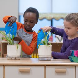 Discovery Isle Preschool