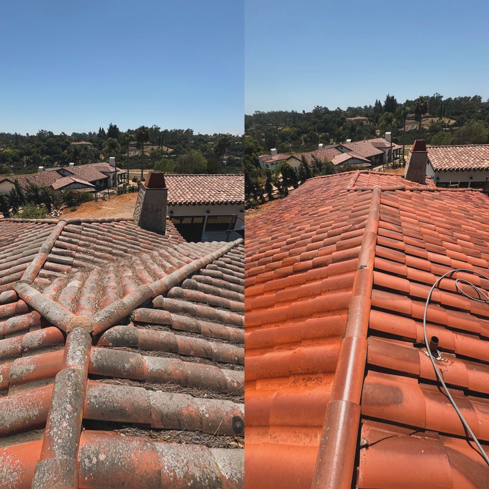 Slide of Curbside Softwash