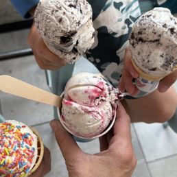 Vanilla with rainbow sprinkles; red, white, and blueberry; mint Oreo