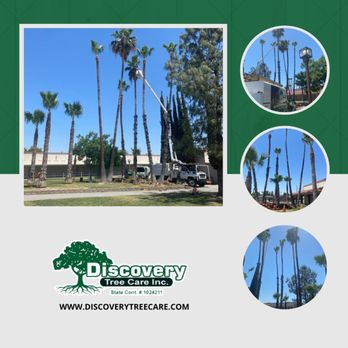 Discovery Tree Care - Tree Services Near Me - Ceres, California Discovery Tree Care - Tree Services Near Me - Ceres, California