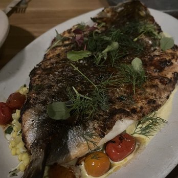 Albi - Branzino - Middle Eastern Near Me - Washington, DC, District of Columbia Albi - Branzino - Middle Eastern Near Me - Washington, DC, District of Columbia
