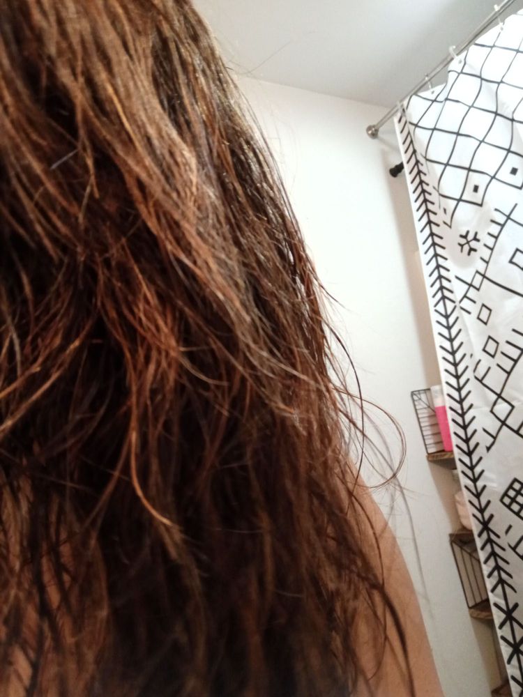 SOUTHERN CURLS HAIR SALON AND GIFT SHOP Updated July 2024 15 Photos