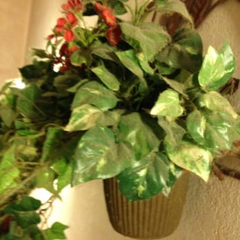 Downtown Pizza - The dated fake plant decor is tacky and caked with years of dust.  How does this pass health code inspection?! - Pizza Near Me - Murphy, North Carolina
