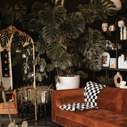 The Colour Room Salon