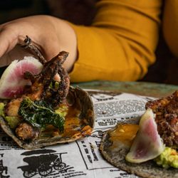 Malay Cocina Divertida & EveryDay Club - Octopus taco with blue corn tortilla and a cheese crust based on guacamole sauce
A delicious dish for you to try only at Malay