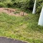 Photo of North Shore Rail Trail