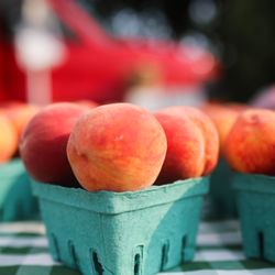 North Union Farmers Market- Crocker Park