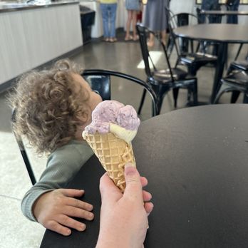 Reed's Dairy - Huckleberry ice cream - Ice Cream & Frozen Yogurt Near Me - Idaho Falls, Idaho Reed's Dairy - Huckleberry ice cream - Ice Cream & Frozen Yogurt Near Me - Idaho Falls, Idaho