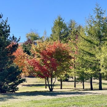 Lawson Gardens - Parks Near Me - Pullman, Washington Lawson Gardens - Parks Near Me - Pullman, Washington