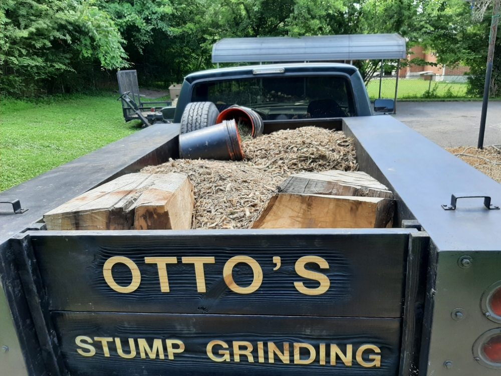 Otto's Stump Grinding - tree service in Nashville, TN
