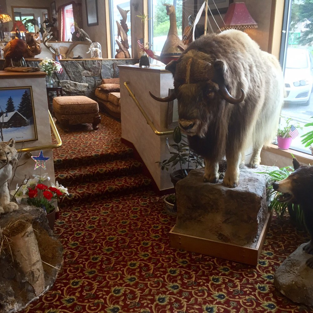 Hotel Seward - Stuffed Animals in the Hotel Lobby at Hotel Seward - Hotels Near Me - Seward, Alaska Hotel Seward - Stuffed Animals in the Hotel Lobby at Hotel Seward - Hotels Near Me - Seward, Alaska