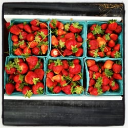 Southern Comfort Berry Farm