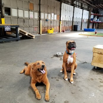 Bar K - Dog Parks Near Me - Kansas City, Missouri