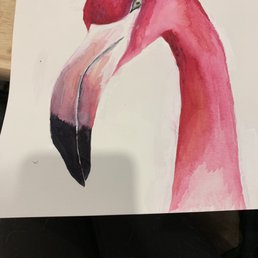 Flamingo