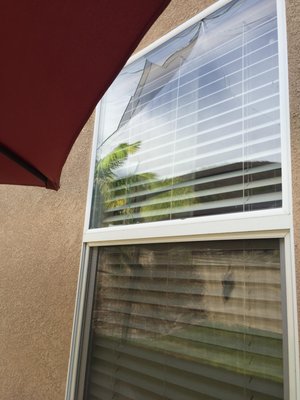 Masterpiece Leaded Windows by null