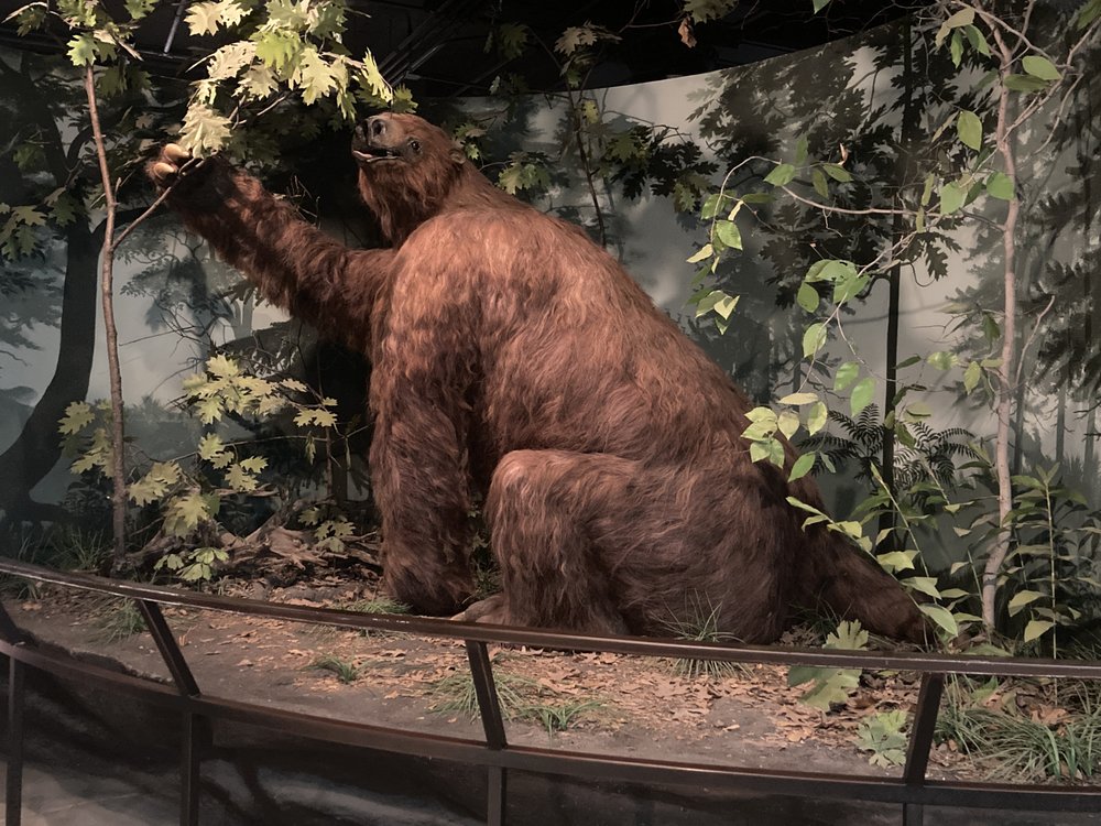 The University of Iowa Museum of Natural History Image