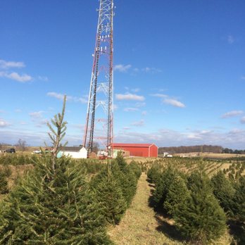 TLV Tree Farm - Tree Farm - Farmers Market Near Me - Glenelg, Maryland TLV Tree Farm - Tree Farm - Farmers Market Near Me - Glenelg, Maryland