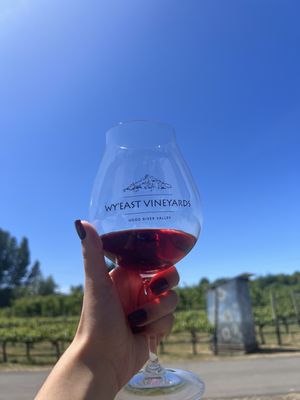 Wy'East Vineyards by null