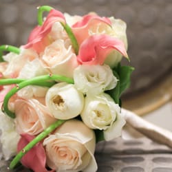 Johanna Terry Events