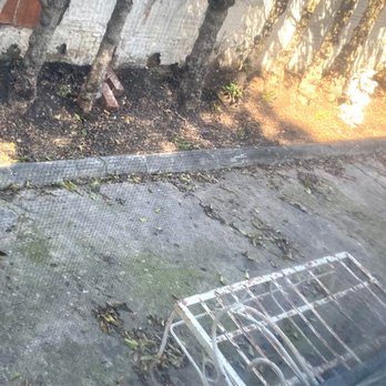 Junk Haul Team - Clean backyard. You couldn't even see cement or ground anywhere - Junk Removal & Hauling Near Me Junk Haul Team - Clean backyard. You couldn't even see cement or ground anywhere - Junk Removal & Hauling Near Me