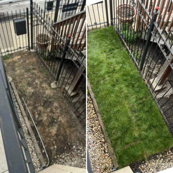 Urich Services - Before & after sod installation for an instant lawn transformation. - Window Washing Near Me Urich Services - Before & after sod installation for an instant lawn transformation. - Window Washing Near Me