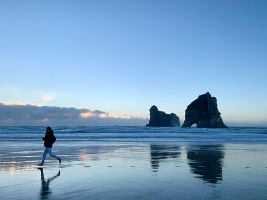 Wharariki Beach by null