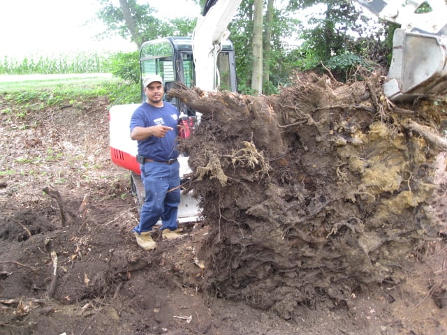 Slide of Rapid Rooter