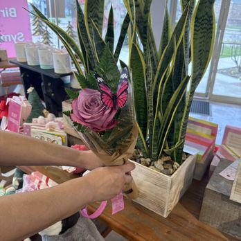In Bloom Flowers - Florists Near Me - Plano, Texas In Bloom Flowers - Florists Near Me - Plano, Texas
