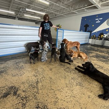 Pup Pup & Away - Group class. I think this one is called "Back". - Pet Training Near Me - San Antonio, Texas Pup Pup & Away - Group class. I think this one is called "Back". - Pet Training Near Me - San Antonio, Texas