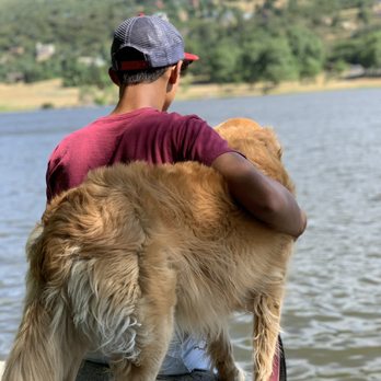 Vail Ranch Goldens - Loves children and adventures - Pet Breeders Near Me Vail Ranch Goldens - Loves children and adventures - Pet Breeders Near Me