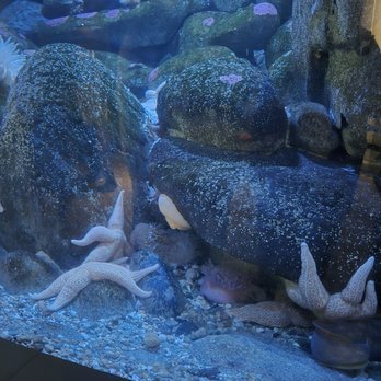 New England Aquarium - Aquariums Near Me - Boston, Massachusetts New England Aquarium - Aquariums Near Me - Boston, Massachusetts