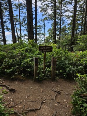 Oswald West State Park by null