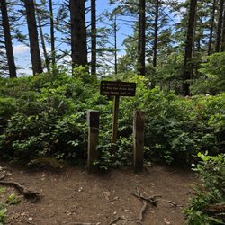 The sign