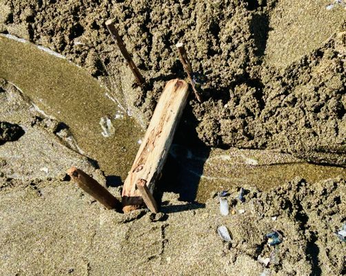 Lands End Trail by null