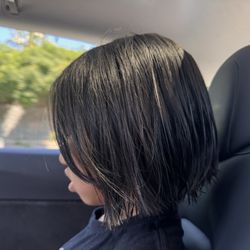 Premier Cuts