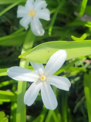 University of Alaska Anchorage by null