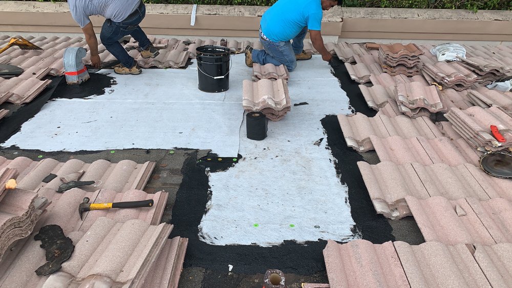 Slide of The Roof Wizard