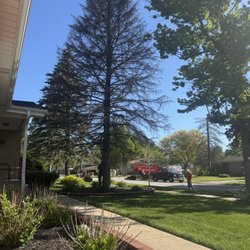 Michael's Tree Service