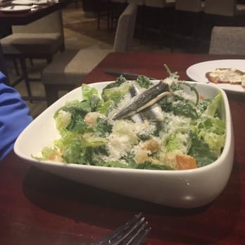 The Cape Grille - Kale Caesar - American Near Me - Falmouth, Massachusetts The Cape Grille - Kale Caesar - American Near Me - Falmouth, Massachusetts