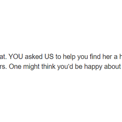 Meow House Cat Rescue - A very unprofessional e-mail sent by someone who should not be in this role if she doesn't know how to communicate with people.