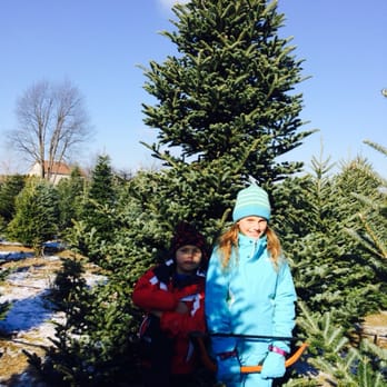 Candy Cane Christmas Tree Farm - Christmas Trees Near Me - Oxford, Michigan Candy Cane Christmas Tree Farm - Christmas Trees Near Me - Oxford, Michigan