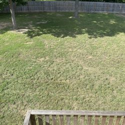 Nmcr - Backyard mowing and trimming lookin' good